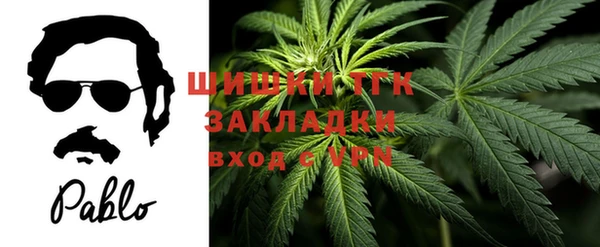 ГАЛЛЮЦИНОГЕННЫЕ ГРИБЫ Лихославль
