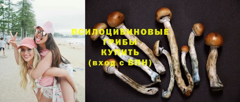 даркнет сайт  blacksprut как войти  Галлюциногенные грибы Magic Shrooms  Лаишево 